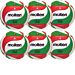 Pallone Volley Molten V5M5000 Coupon 2025 - Conf. 6 palloni